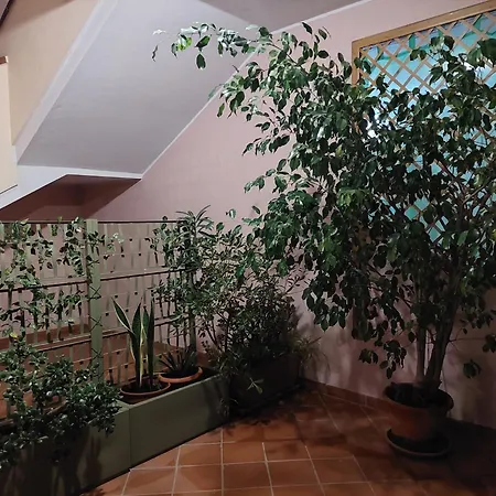 Domus Dejanas Holiday home Villasimius