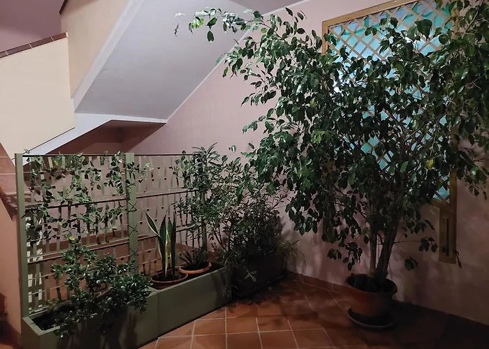 Domus Dejanas Holiday home Villasimius